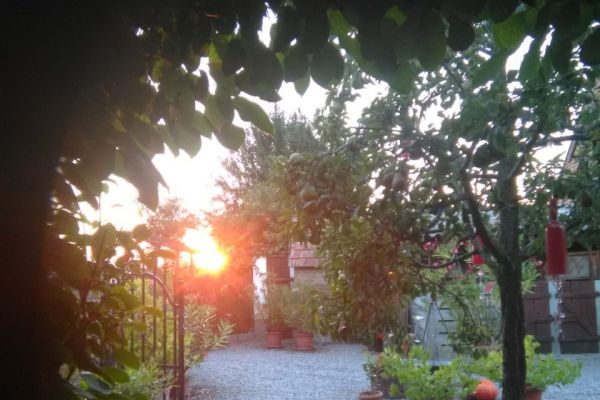 tuin,-zonsondergang2C264BFE-440D-5989-D8EE-B5CF460D1326.jpg