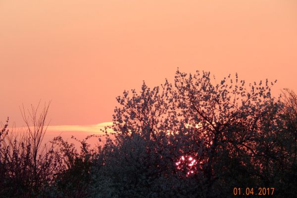 zonsondergang22225A34-5653-2995-EB02-2533BD926188.jpg